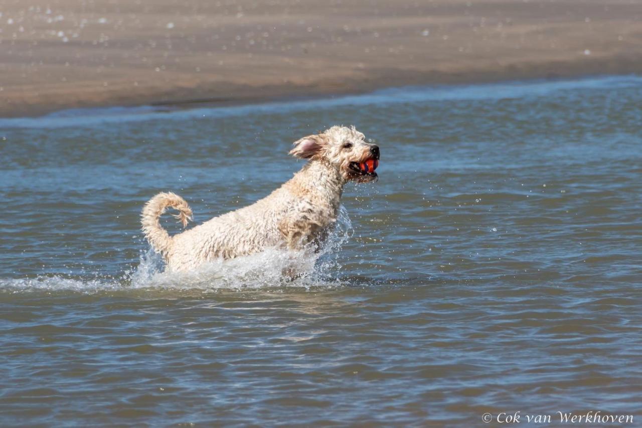 Strandhuis Aan Zee Noordwijk Buitenkant foto